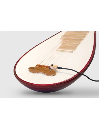 KNA PP-2 Micro pour Pipa Chinoise