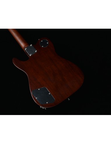 BACCHUS Global BARON-JAZZ NA