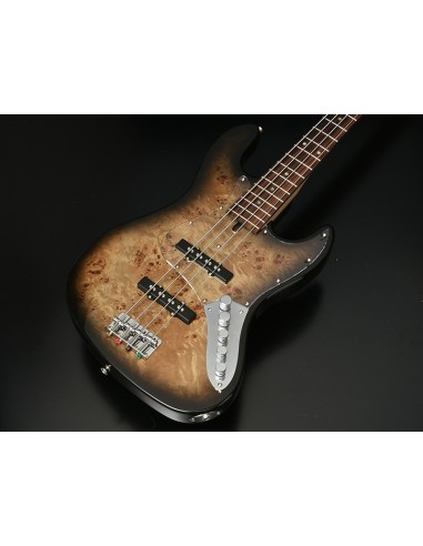 BACCHUS Universe WJB-BP/Act BK-B