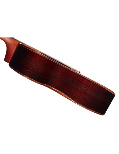 FURCH RED New DELUXE GRAND CW LI