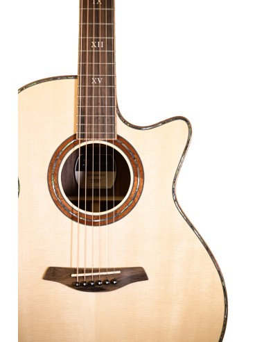 FURCH RED New DELUXE GRAND CW LI