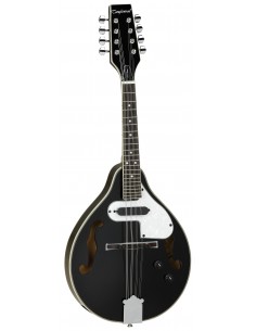 TANGLEWOOD MANDOLINE TWMTBKPE CN 2