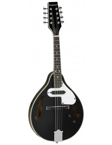 TANGLEWOOD MANDOLINE TWMTBKPE CN TANGLEWOOD MANDOLINE TWMTBKPE CN