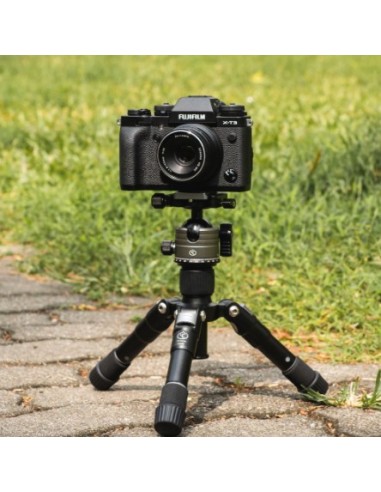 YC ONION MR 36 Rotule tête orientable