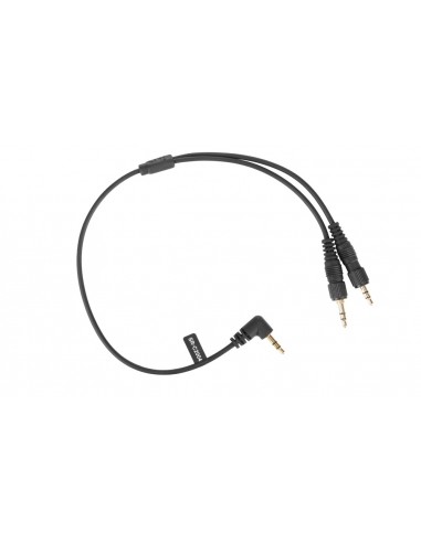 SARAMONIC SR-C2004 Câble 2xTRS-TRS