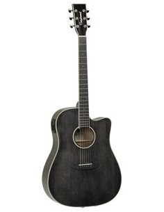 TANGLEWOOD WINTERLEAF TW5EBS CN