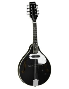 TANGLEWOOD MANDOLINE TWMTBKPE CN