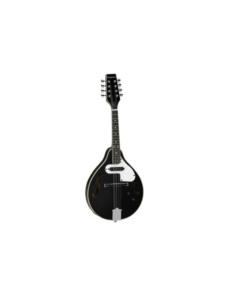 TANGLEWOOD MANDOLINE TWMTBKPE CN TANGLEWOOD MANDOLINE TWMTBKPE CN