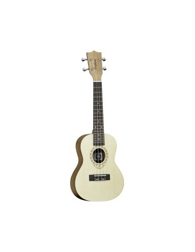 TANGLEWOOD TIARE TWT4 NW
