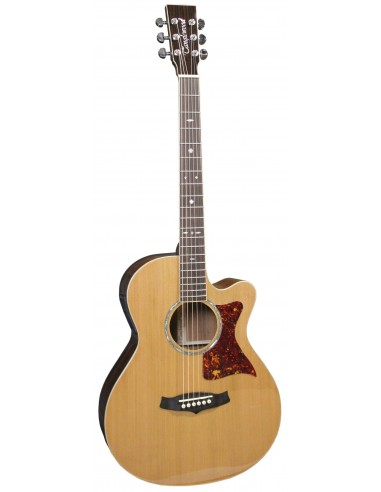 Tanglewood Winterleaf TW45RE + Etui