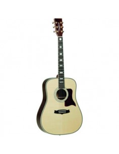 TANGLEWOOD Heritage TW1000HSR EN Etui