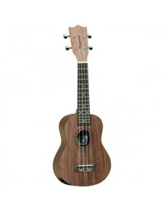 TANGLEWOOD Tiare TWT2 CN