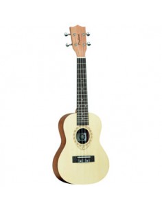 TANGLEWOOD Tiare TWT4 NW