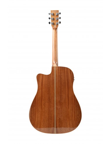 TANGLEWOOD Winterleaf TW5 E SB CN