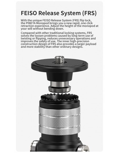 YC ONION PINETA Monopod Carbon