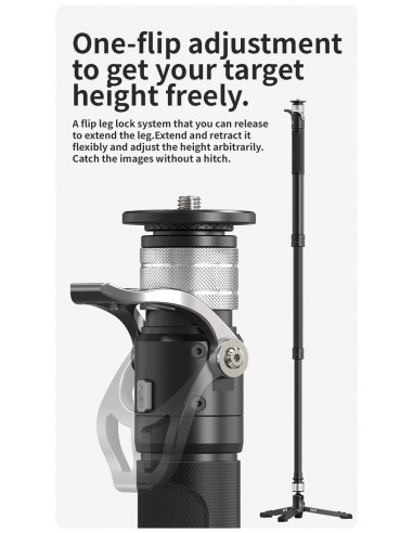 YC ONION PINETA Monopod Carbon