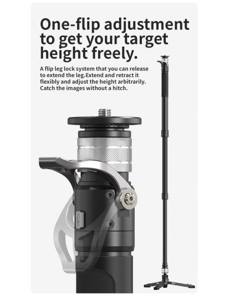 YC ONION PINETA Monopod Carbon