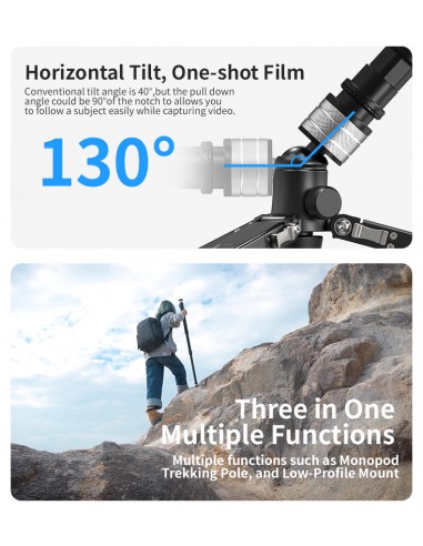 YC ONION PINETA Monopod Carbon