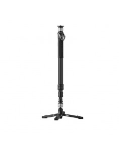 YC ONION PINETA Monopod Carbon 2