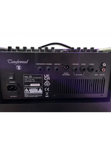TANGLEWOOD T6 Ampli Acoustique + housse