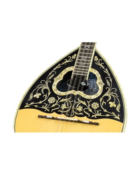 KNA BZ-1A Micro pour Bouzouki