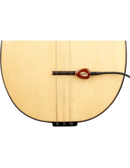 KNA BG-1 Micro pour Baglama