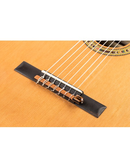 KNA NG-7S Micro Guitare 7 piezo