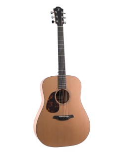 FURCH BLUE DREADNOUGHT CM... 2