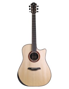 FURCH Limited Edition DREAD... 2