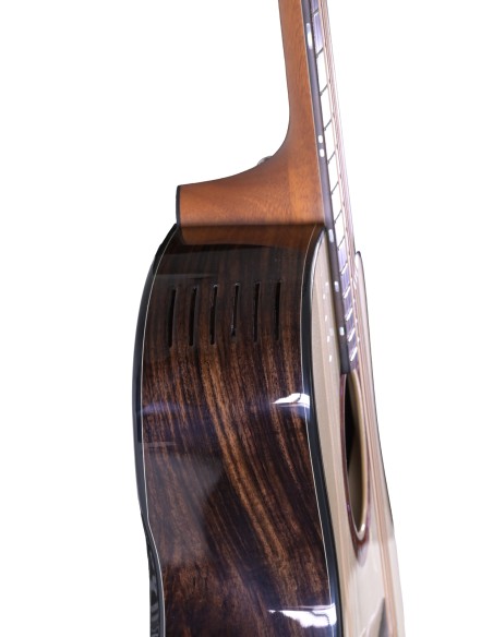 FURCH Limited Edition DREAD CW LR