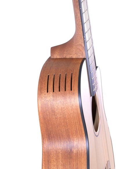 FURCH PIONEER CM LRB1