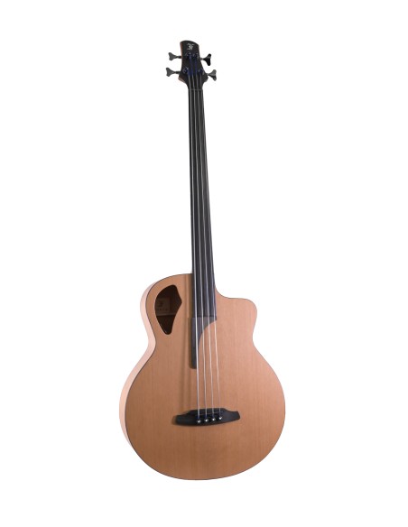 FURCH BASSE BCCW 61 CM4 LRB1 FRETLESS