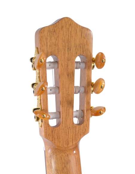 KREMONA FLAMENCA ROSA BELLA SPRUCE MASSIF-HETRE MASSIF