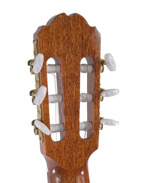 KREMONA BASIC FIESTA 65 4/4 CEDRE MASSIF-PALISSANDRE