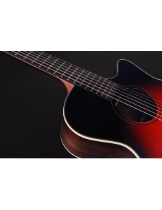 FURCH Spectra Plus... 2