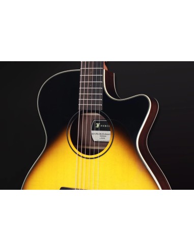 FURCH Spectra Plus GRAND CW ER...