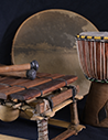 Percussion