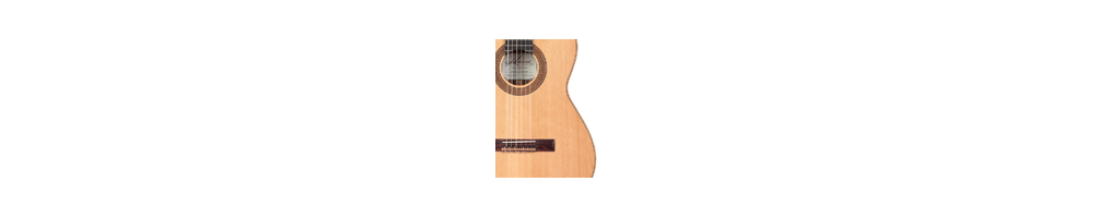 Luthier Series