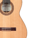 Luthier Series
