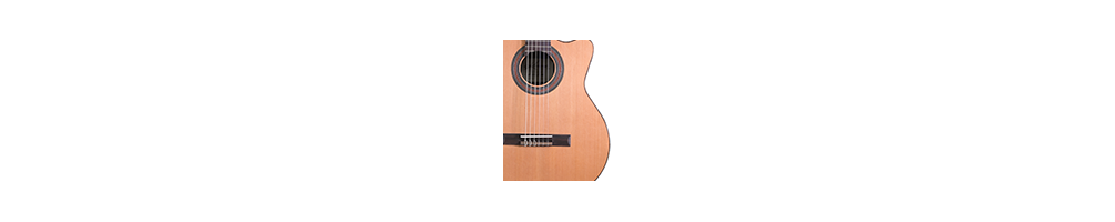 Performer Series