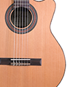 Performer Series