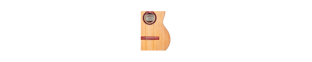 Soloist Series